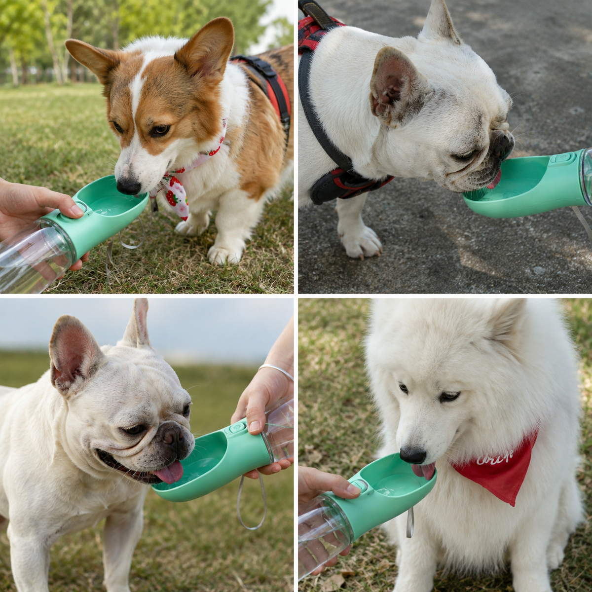 Paw & Holler™ Portable Pet Water Bottle