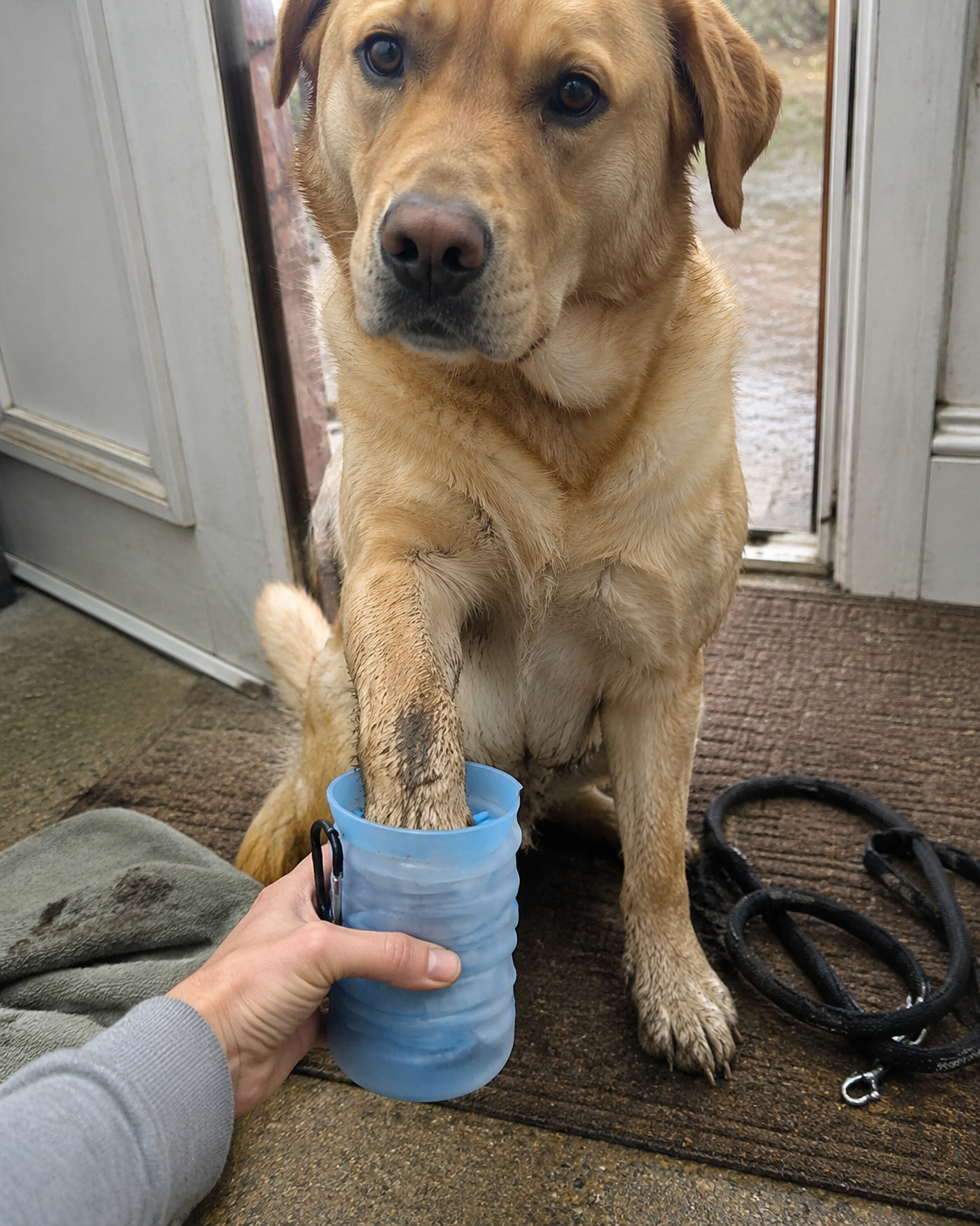 Paw & Holler™ 2-in-1 Paw Cleaner