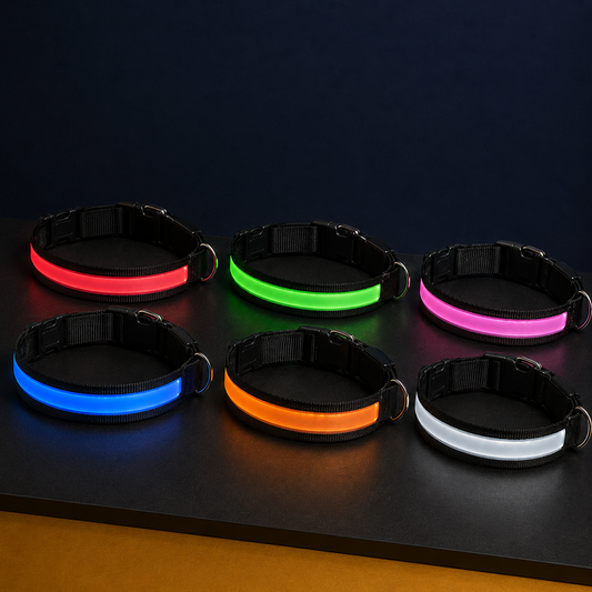 Paw & Holler Rechargeable LED Safety Dog Collar