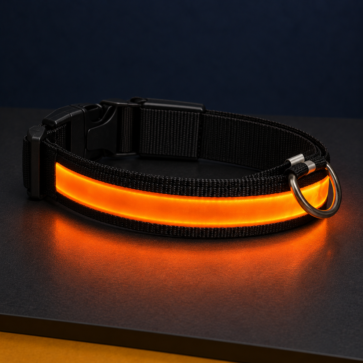 Paw & Holler Rechargeable LED Safety Dog Collar