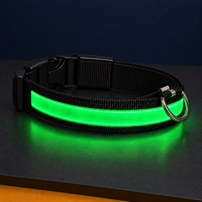 Paw & Holler Rechargeable LED Safety Dog Collar