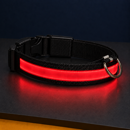 Paw & Holler Rechargeable LED Safety Dog Collar