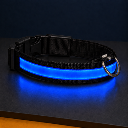 Paw & Holler Rechargeable LED Safety Dog Collar