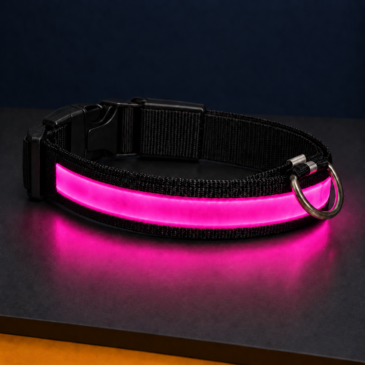 Paw & Holler Rechargeable LED Safety Dog Collar